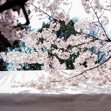 Tora Hotel Tokyo-Kitaueno 寅ホテル北上野 Bagian luar foto