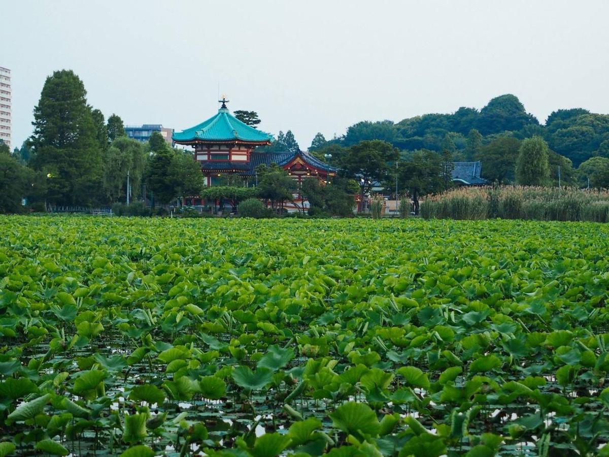 Tora Hotel Tokyo-Kitaueno 寅ホテル北上野 Bagian luar foto